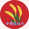 中国粳稻网