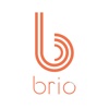 Brio - Project Time Keeper and Tracker