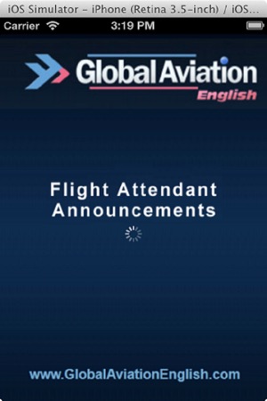 Flight Attendant Announcement