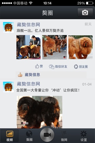 藏獒易拍 screenshot 2
