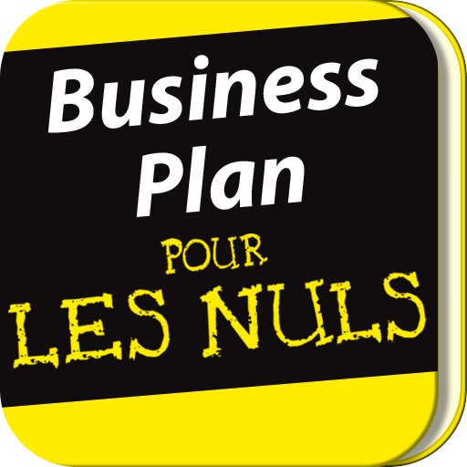 Business Plans Pour les Nuls