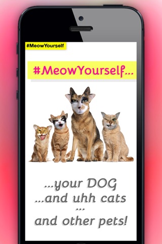 Meow Yourself: A Cat Face Cam and Pic Stickers (#MeowYourself) screenshot 3