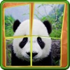 Panda Slidy Puzzle - sliding puzzle for kids