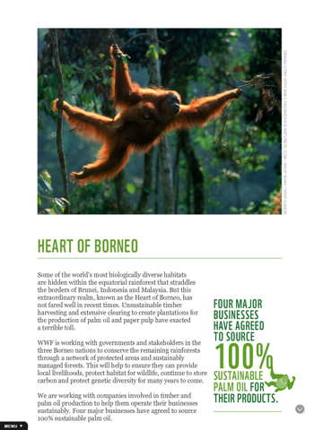 WWF-Australia Annual & Sustainability Report 2013 screenshot 4