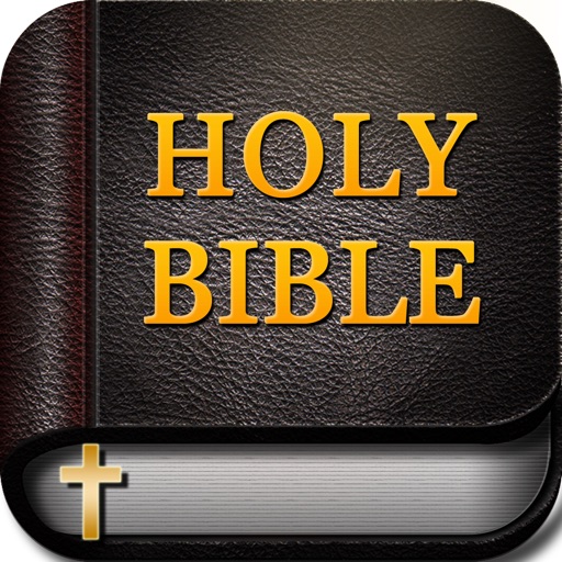 Holy Bible Audiobook English Version Pro HD - Listen to God's Words icon