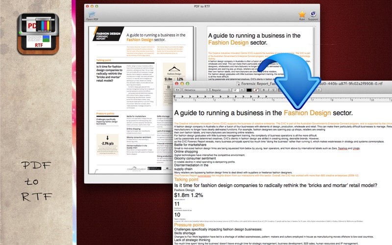 Screenshot #2 pour PDF to RTF