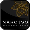 Narciso