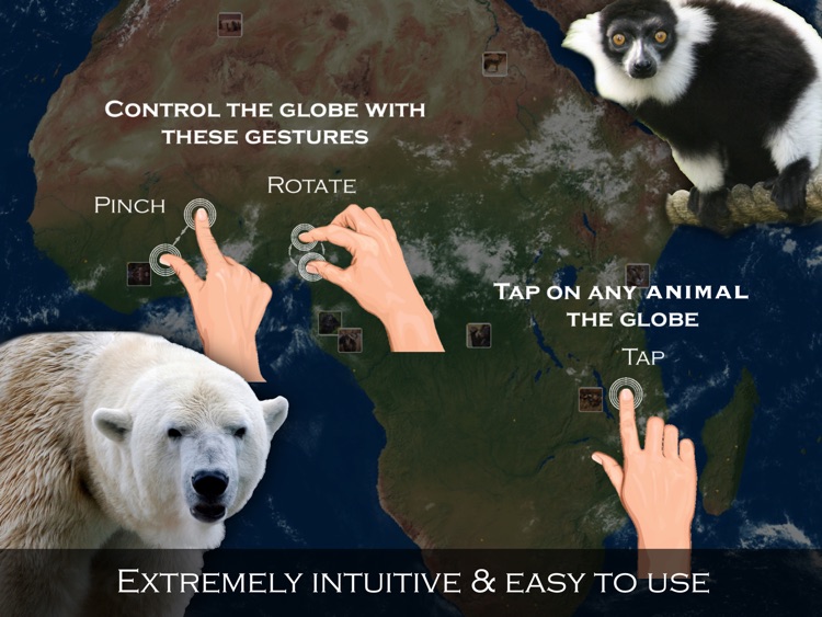 Animal Wonders of the World screenshot-3