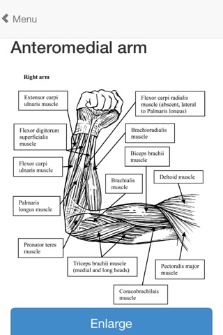 OrthoAnatomy 2014 edition screenshot 2