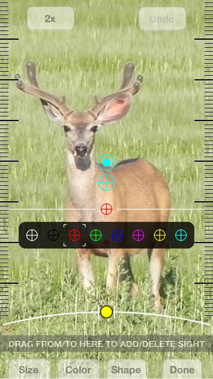 Video Scope Sight