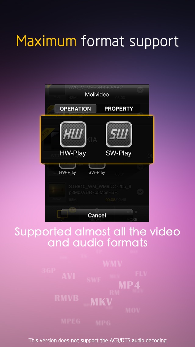 MoliPlayer Pro-video & music media player for iPhone/iPod with DLNA/Samba/MKV/AVI/RMVB Screenshot 2