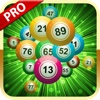 777 Bingo Bingo - Best Lottery Casino Games
