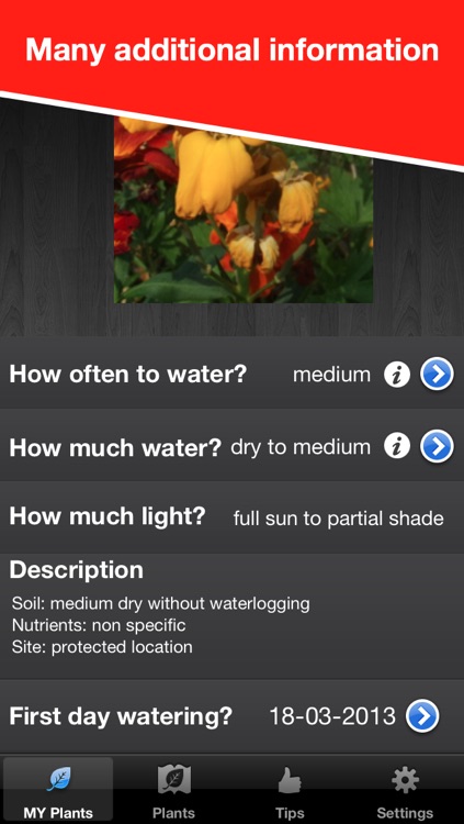 WaterPlease! Pro