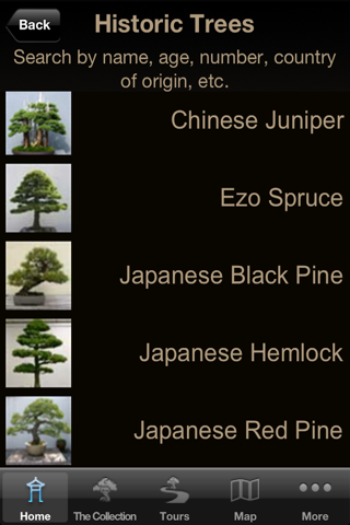 National Bonsai & Penjing Museum screenshot 4