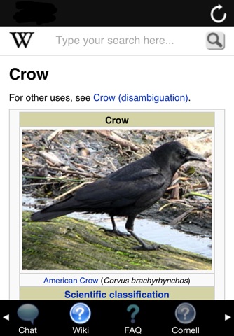 Scare-a-Crow screenshot 3