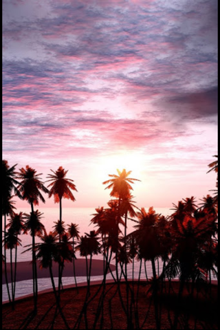 Wallpapers & Backgrounds - náhled