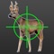 Free version of Hunting Simulator