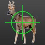 Get Hunting Simulator Free for iOS, iPhone, iPad Aso Report