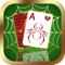 The classical spider solitaire game