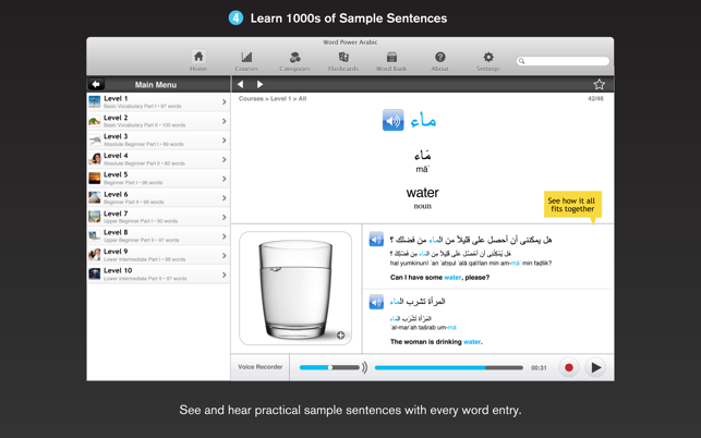 WordPower Learn Arabic Vocabulary by InnovativeLanguage.com(圖4)-速報App