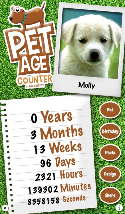 Pet Age Counter