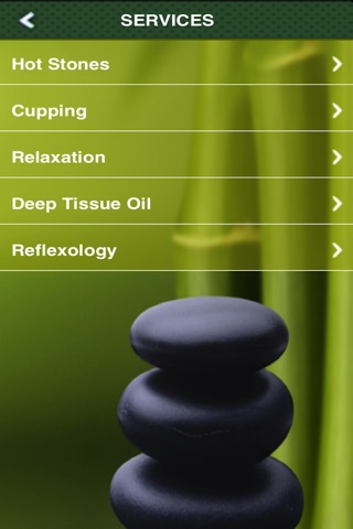Holistic Health Massage screenshot 3