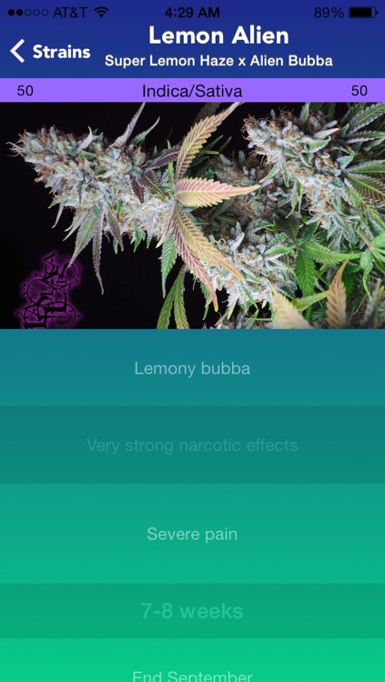 Strains Pro 2