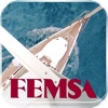 FEMSA 2011