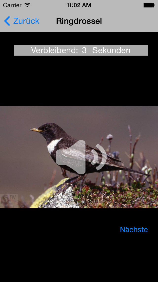 How to cancel & delete Vogelgesang im Oberbayer. Wald from iphone & ipad 4