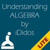 Understanding Algebra