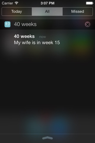 40 Weeks - Pregnancy Companion screenshot 3