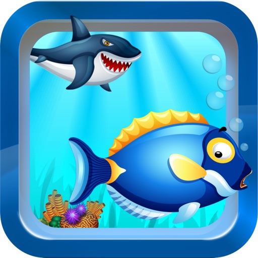 Tiny Fish Race - Free running games iOS App