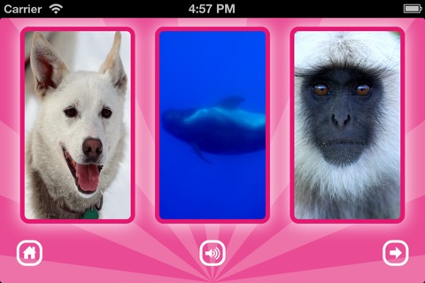 GRoink: fun puzzle game with animal sounds screenshot 4