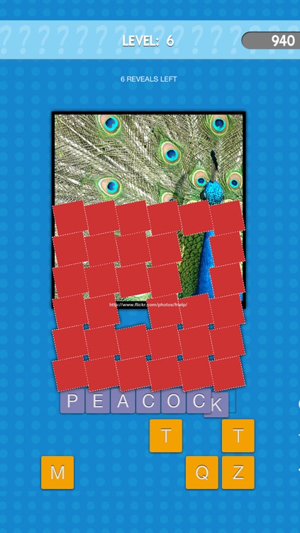 A What's the Photo Quiz Word Game FREE