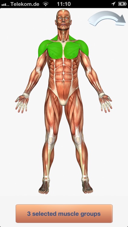 100+ Fitness Exercises Free