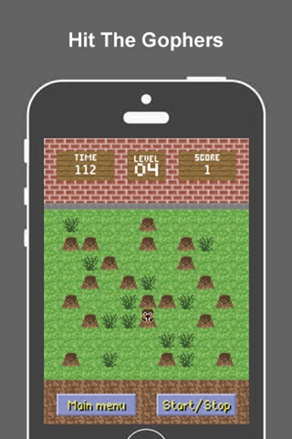 Gophers screenshot 3