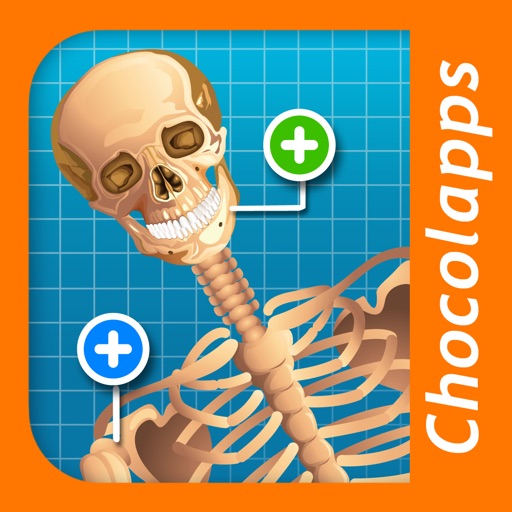 The human body explained by Tom - Discovery icon