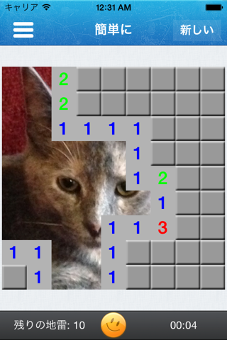 Minesweeper Reveal - Classic game with a custom twist screenshot 2