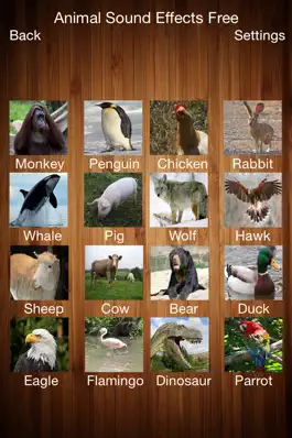 Game screenshot Animal Sound Effects Free!! apk