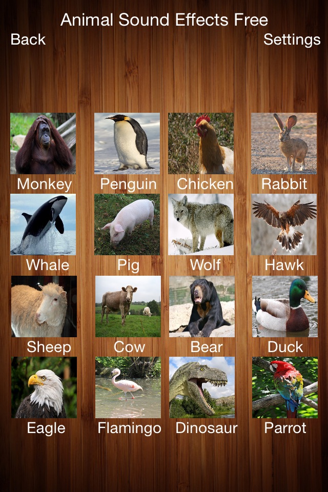 Animal Sound Effects Free!! screenshot 2