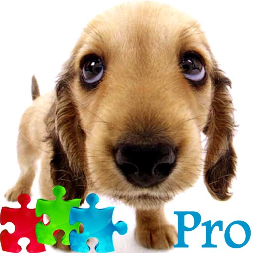 2000 Cute Puppy Jigsaw Puzzle Pro icon