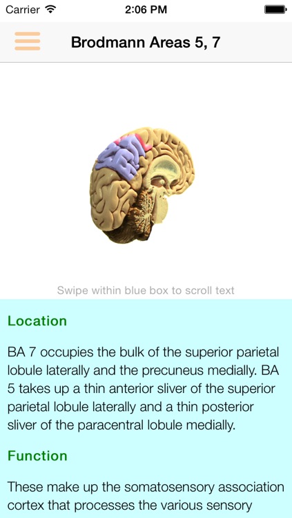 Brodmann 3D Lite screenshot-4