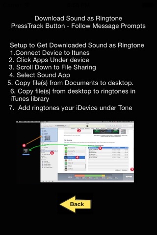 Crickets - Ringtones, Alerts, Alarms, Soudboards screenshot 2