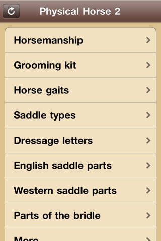 Physical Horse 2 - Equestrian Horsemanship Reference App screenshot 4