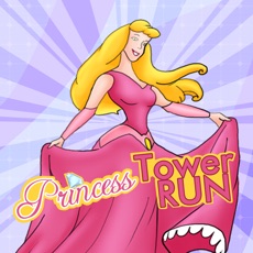 Activities of Princess Tower Run