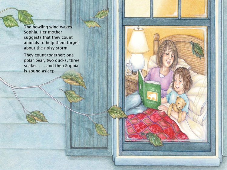 Fur and Feathers (Picture Book)