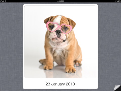 CuteCal for iPad screenshot 3