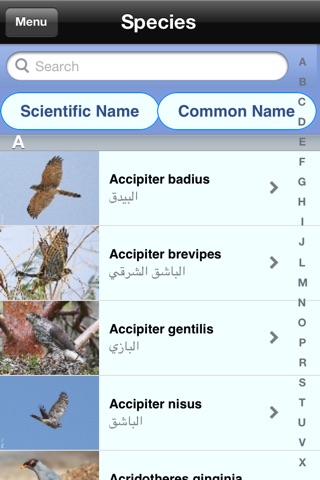 Birds Of Kuwait screenshot 2