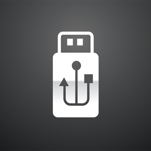 File Drive icon