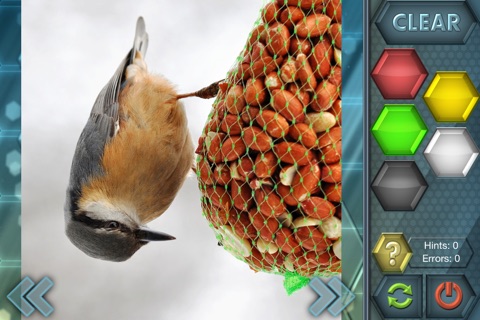 HexLogic - Birds screenshot 4